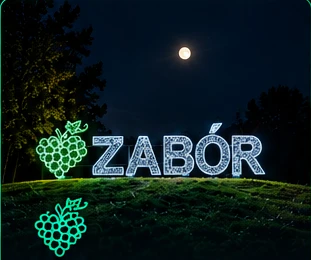 Podświetlony napis ZABÓR z winogronami nocą